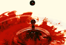 Julho: Mês do Preciosíssimo Sangue de Cristo