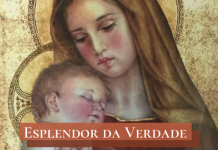 Por que amamos Nossa Senhora?