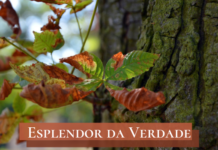 As realidades últimas – 03/11