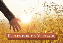 Uma só vida e morte, um só julgamento e uma só eternidade – 24/11