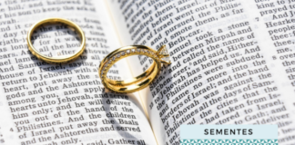 Papa Leão XIV sobre nulidade matrimonial