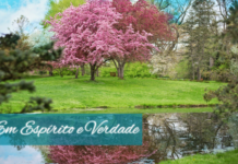 As sementes escondidas – 30/03