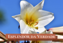 Orgulho e sensualidade – 17/03