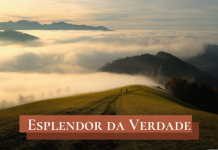 A omissão nossa de cada dia – 15/06