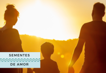 ‘Aprendamos a cultivar o amor na família’ – Papa Leão XIV
