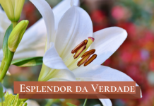 Santa Maria Goretti e a virtude da castidade – 06/07