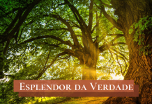 As raízes da fé – 21/07