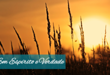 A verdadeira sensibilidade – 19/08