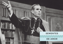 Novo beato: Fulton Sheen – Defensor do matrimônio e da vida